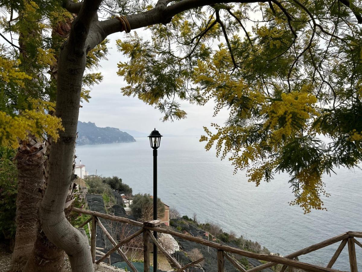 Villa Hermosa Costiera Amalfitana Экстерьер фото